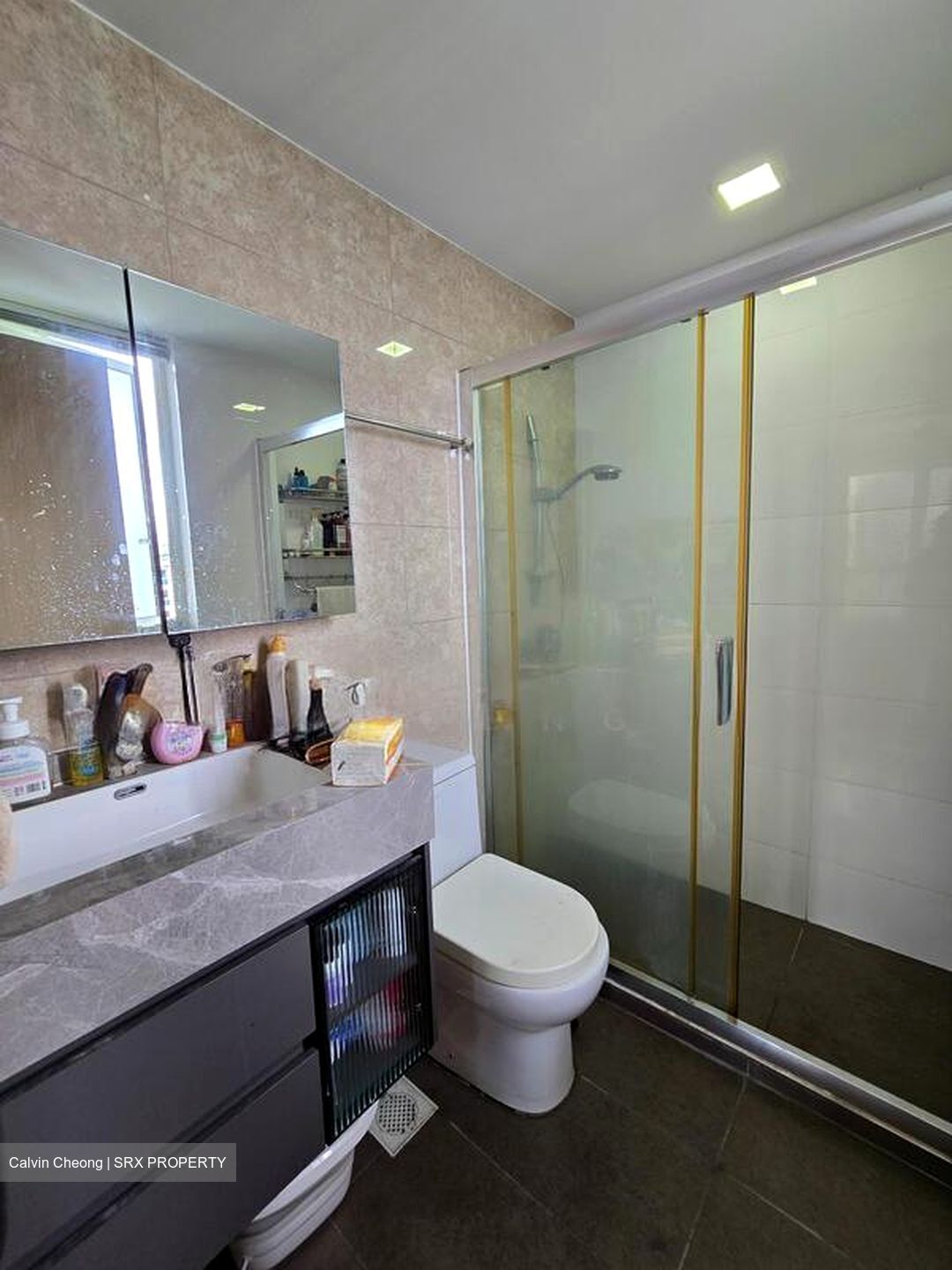 Forestville (D25), Condominium #495841281